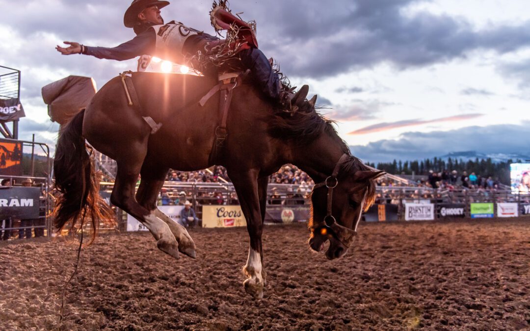 Get Ready to Ride: The Thrilling Tale of the North American Rodeo!